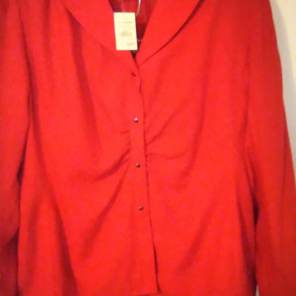 Chad Stevens ltd. - Picture 4 of 11